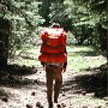 [TRAVEL LOG]