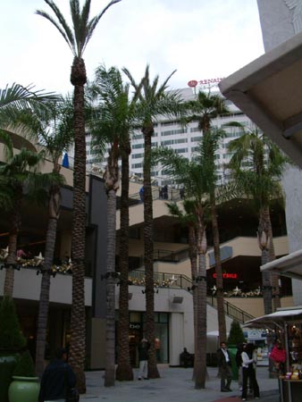 2005-01-cali154