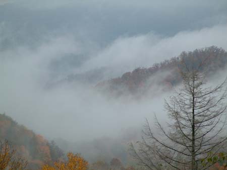DSCF0117