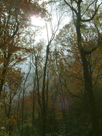 DSCF0127