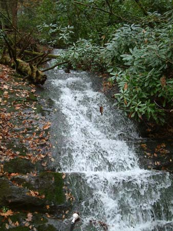 DSCF0128