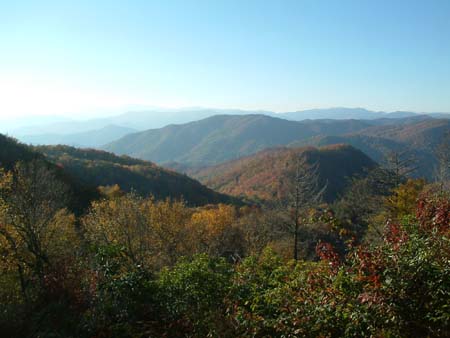 DSCF0204
