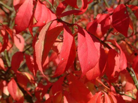 DSCF0356