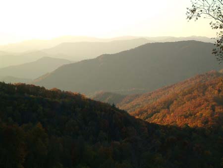 DSCF0358