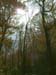DSCF0127